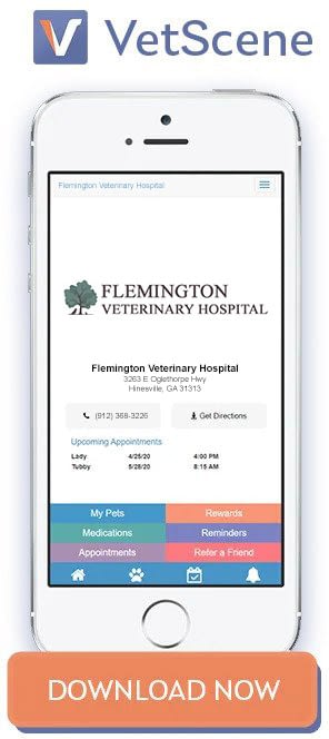 Flemington Veterinary Hospital Vetscene App
